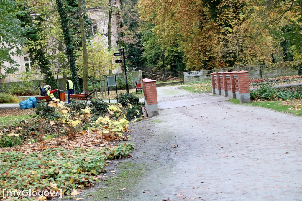 Pięknieje park miejski w Sławie