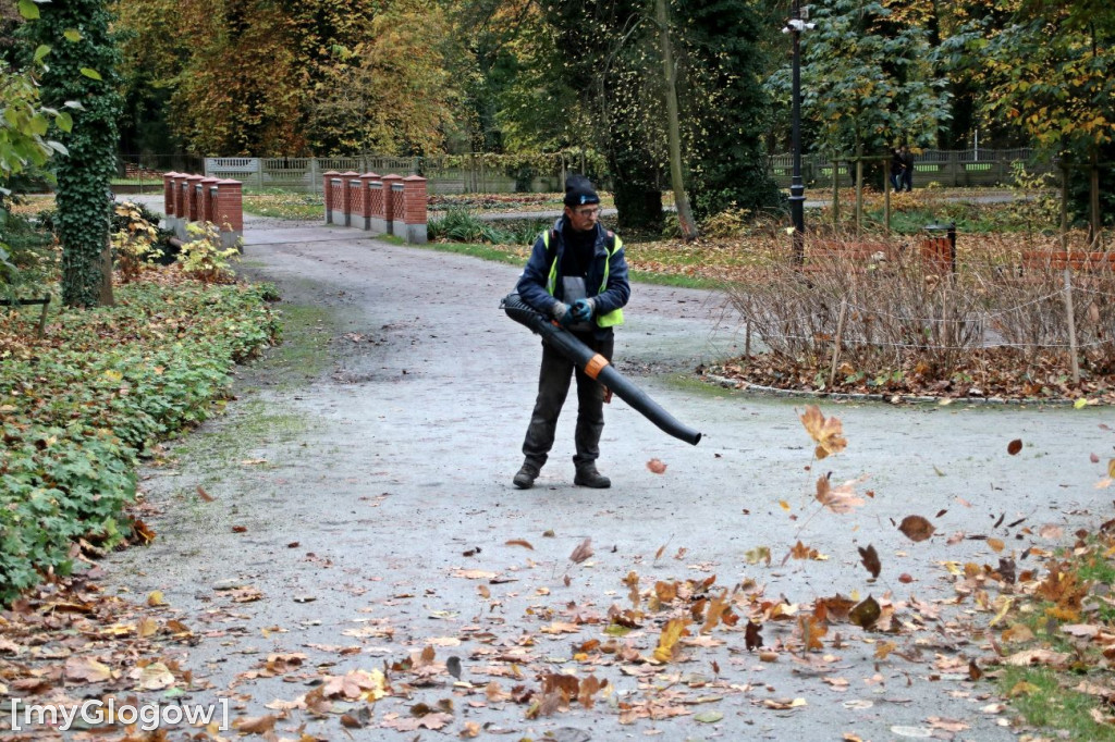 Pięknieje park miejski w Sławie