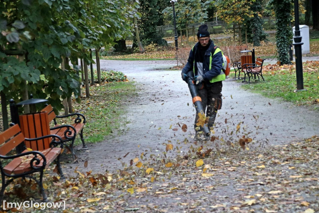 Pięknieje park miejski w Sławie