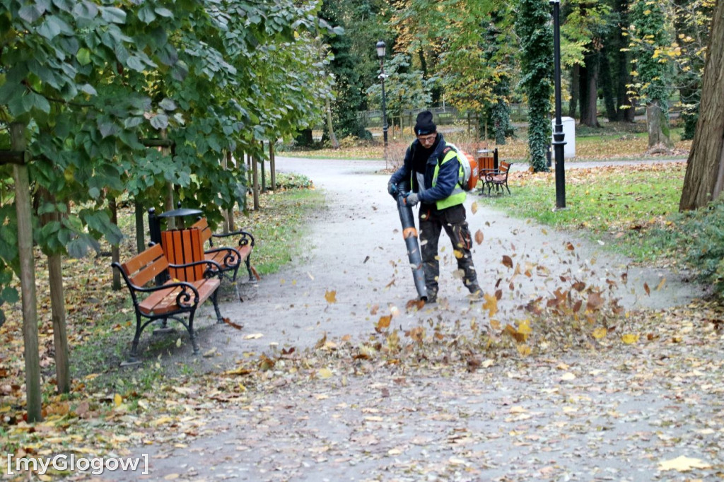 Pięknieje park miejski w Sławie