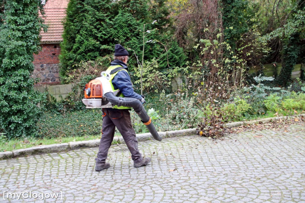 Pięknieje park miejski w Sławie