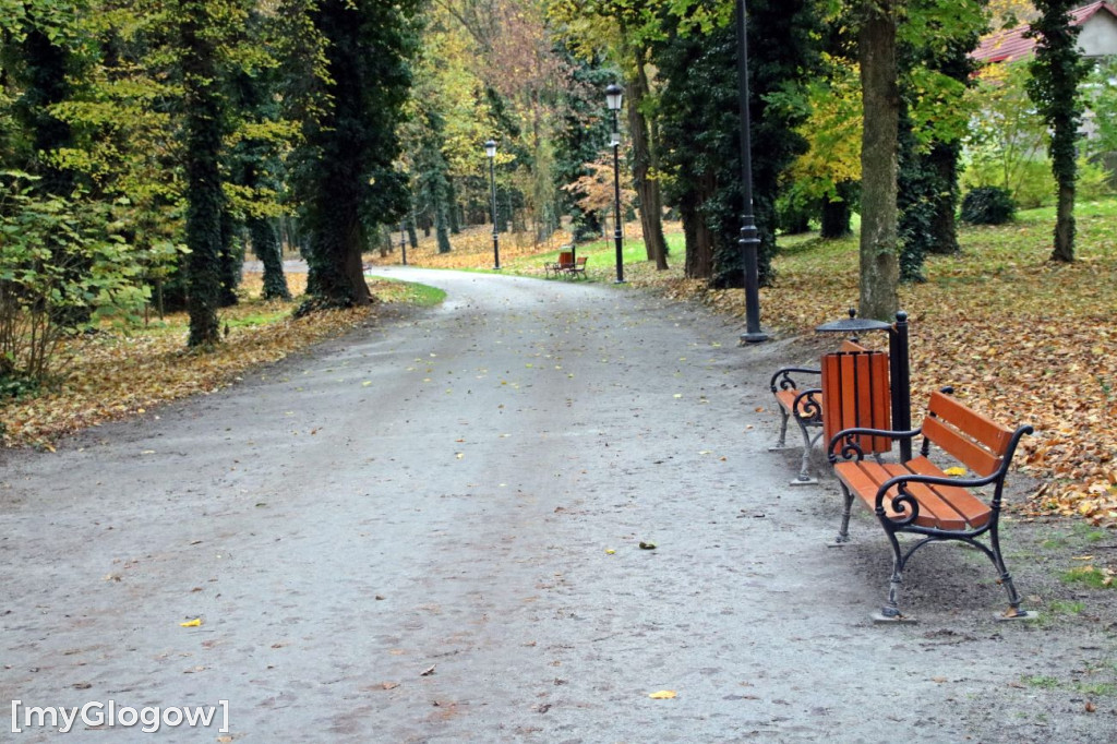 Pięknieje park miejski w Sławie