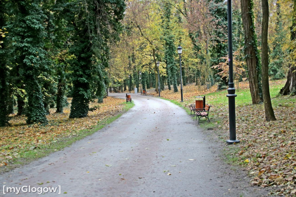 Pięknieje park miejski w Sławie