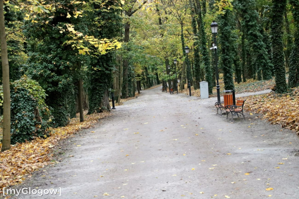 Pięknieje park miejski w Sławie