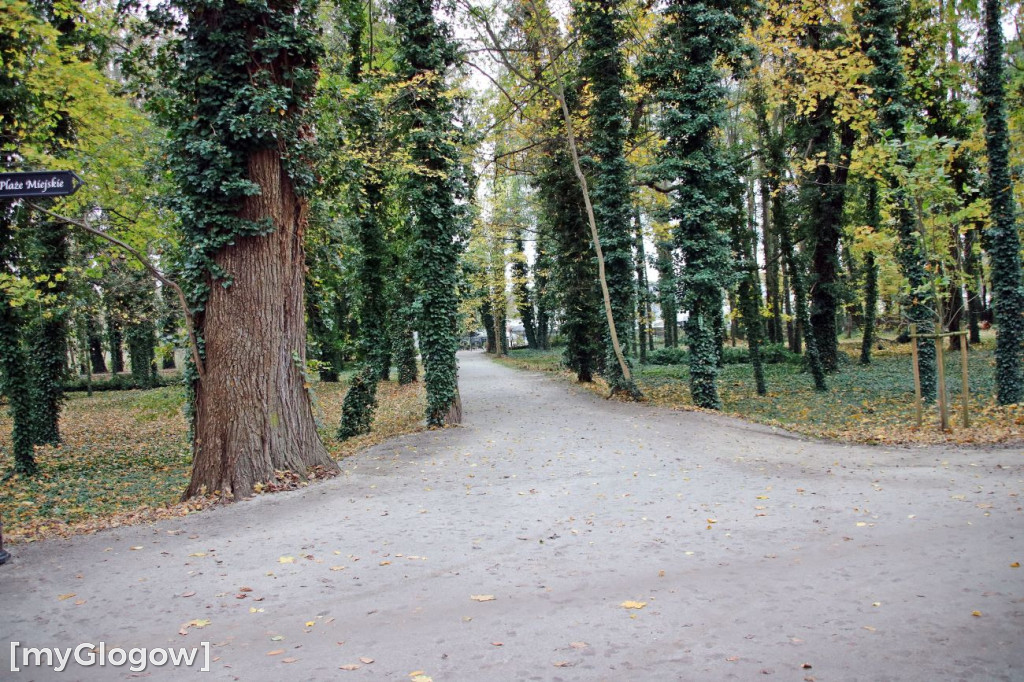 Pięknieje park miejski w Sławie