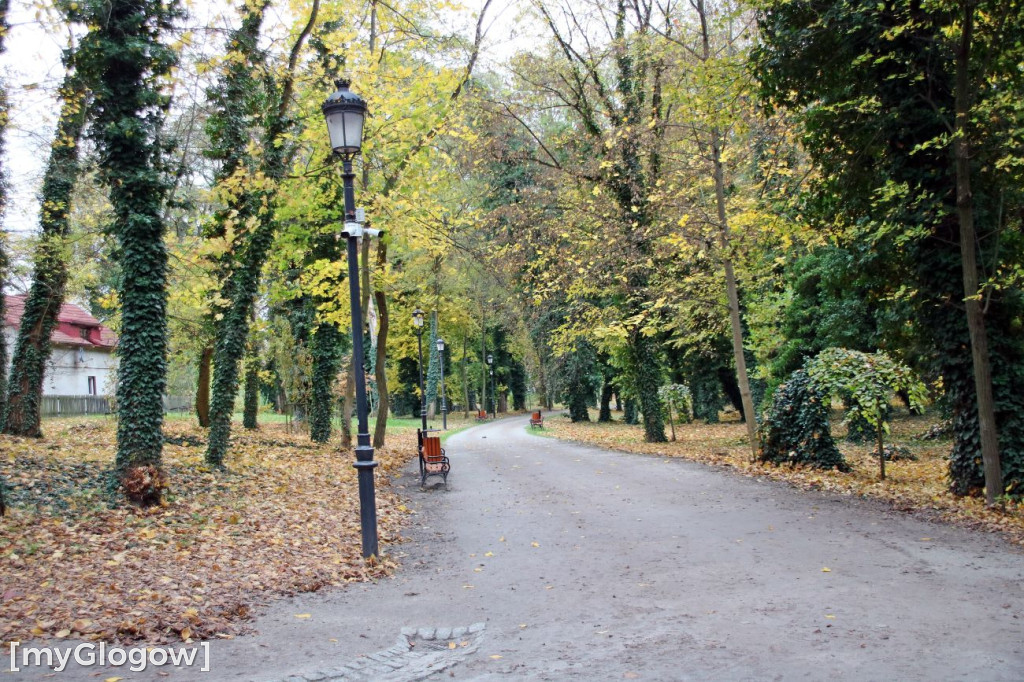 Pięknieje park miejski w Sławie