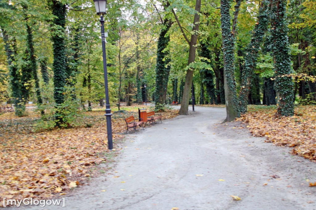 Pięknieje park miejski w Sławie