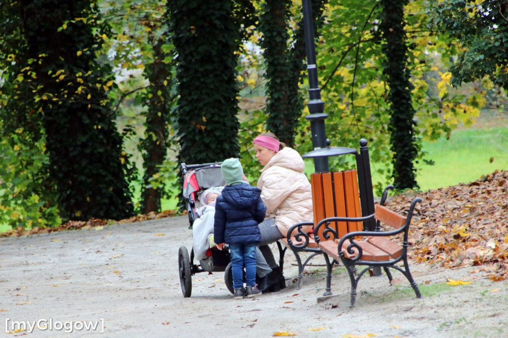 Pięknieje park miejski w Sławie