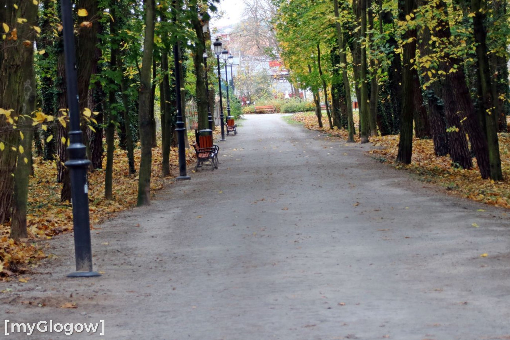 Pięknieje park miejski w Sławie