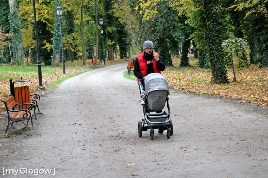 Pięknieje park miejski w Sławie