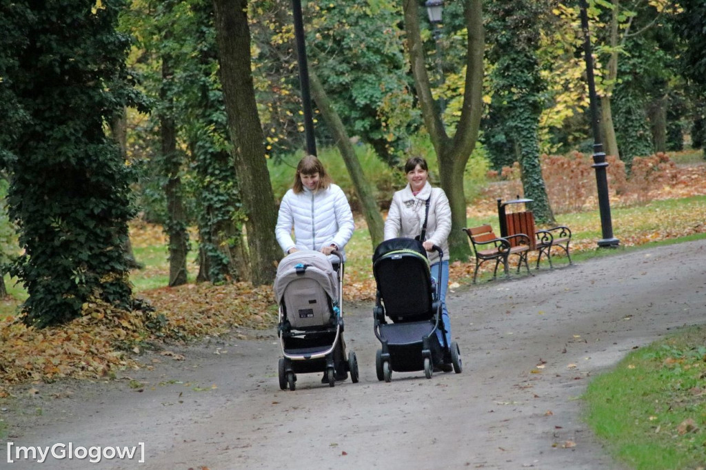 Pięknieje park miejski w Sławie