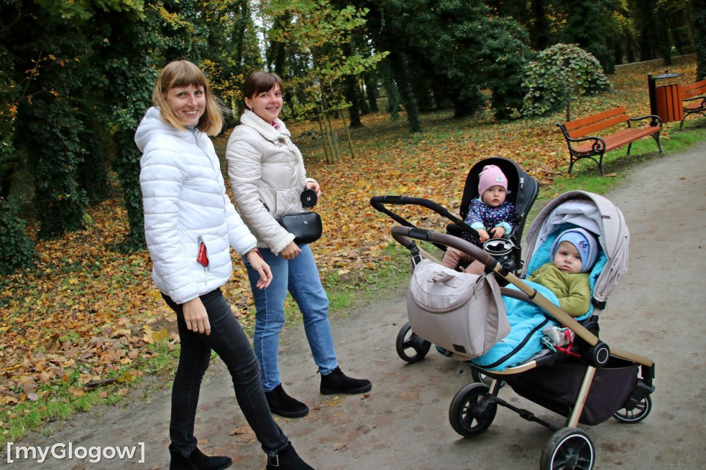 Pięknieje park miejski w Sławie
