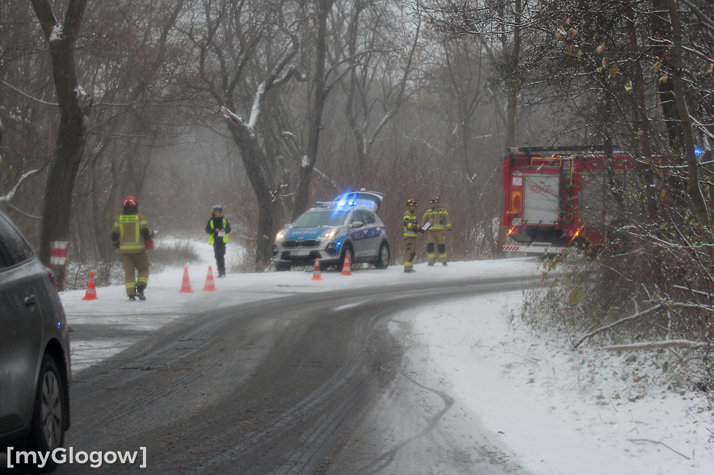 Pod Głogowem volvo uderzyło w drzewo