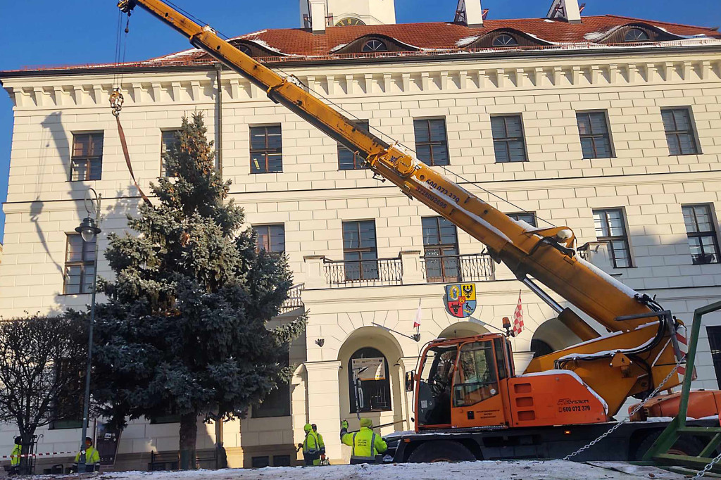 Przed ratuszem w Głogowie stanęła już choinka