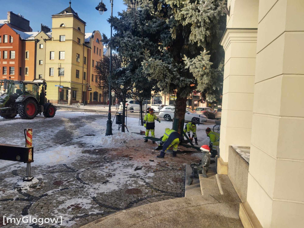 Przed ratuszem w Głogowie stanęła już choinka