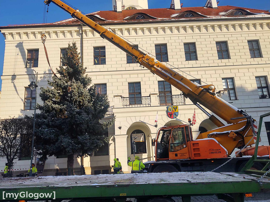 Przed ratuszem w Głogowie stanęła już choinka