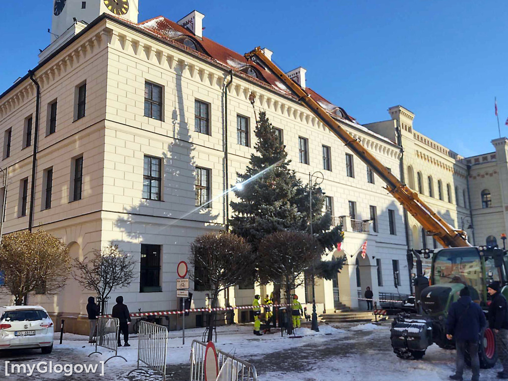 Przed ratuszem w Głogowie stanęła już choinka