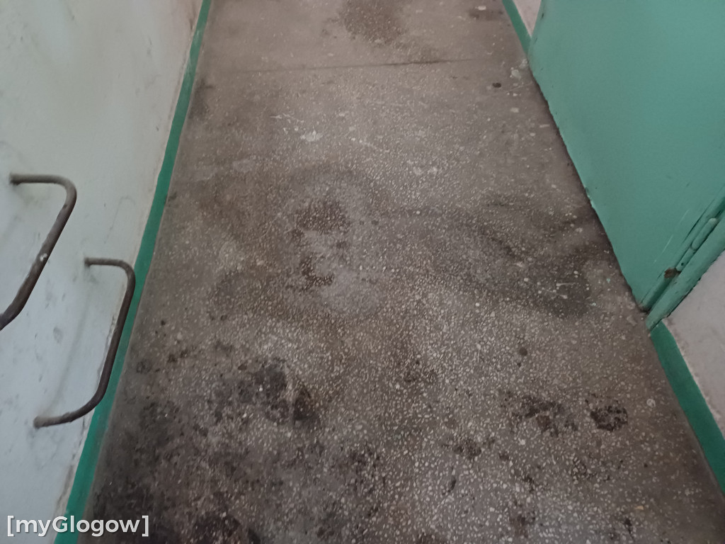 Pani Czesławie od ośmiu lat woda kapie z sufitu