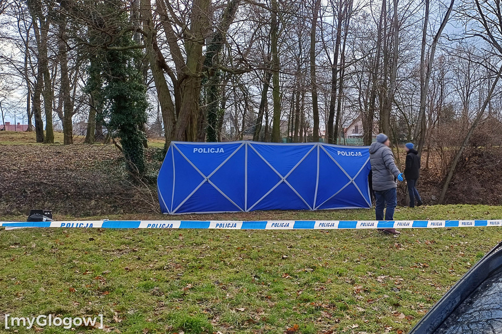 Tragiczny finał poszukiwań pani Aliny z Głogowa