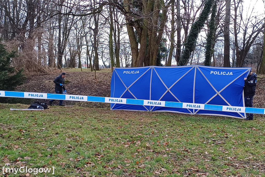Tragiczny finał poszukiwań pani Aliny z Głogowa
