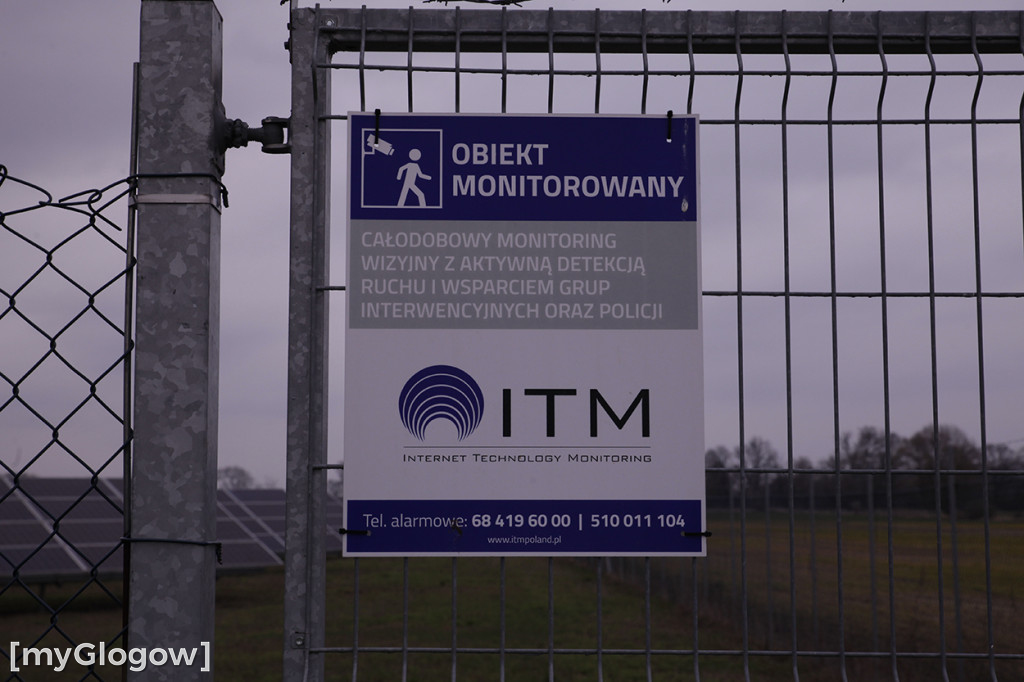 Sarny uwięzione na farmie fotowoltaicznej