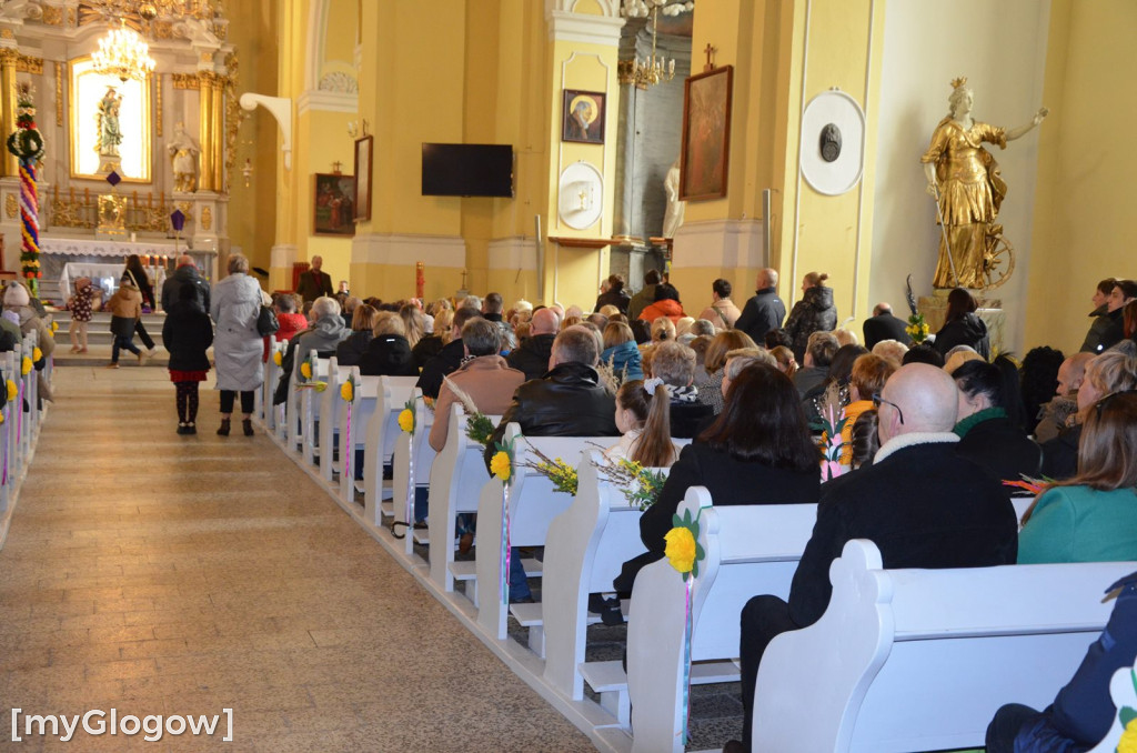 Msza święta w Niedzielę Palmową w kościele Bożego Ciała w Głogowie