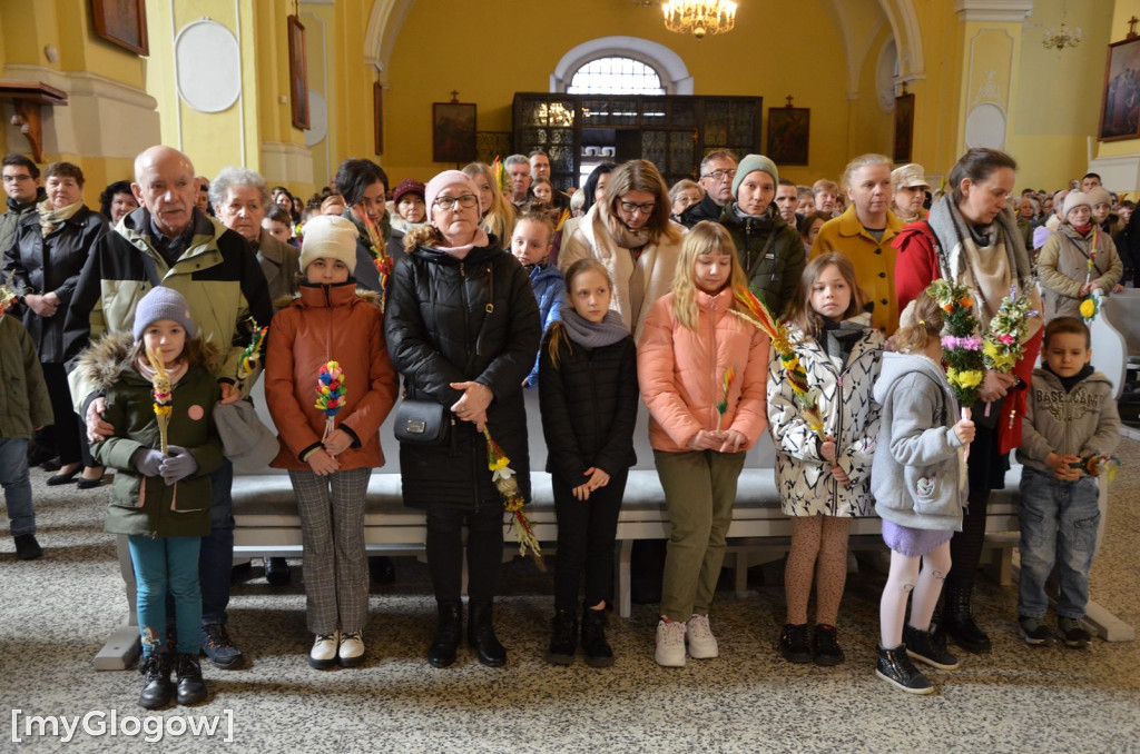 Msza święta w Niedzielę Palmową w kościele Bożego Ciała w Głogowie