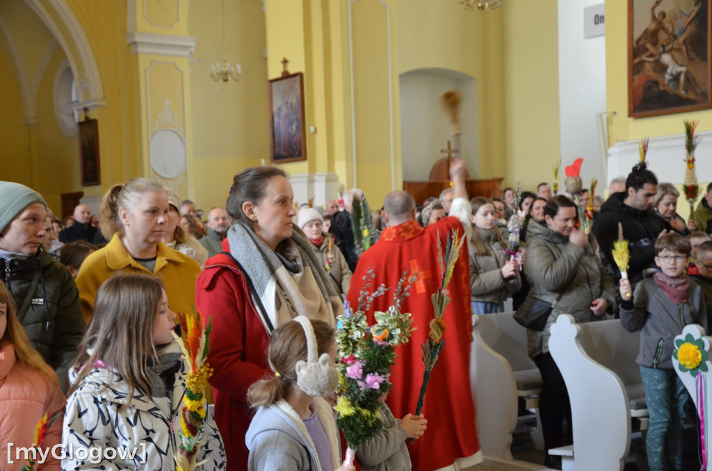 Msza święta w Niedzielę Palmową w kościele Bożego Ciała w Głogowie
