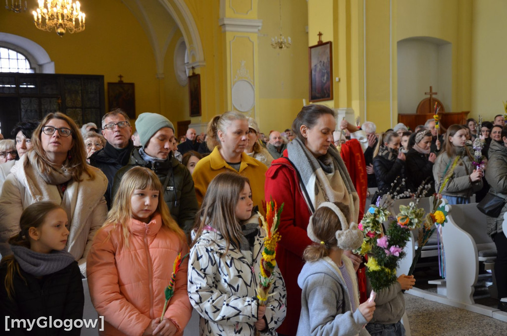 Msza święta w Niedzielę Palmową w kościele Bożego Ciała w Głogowie