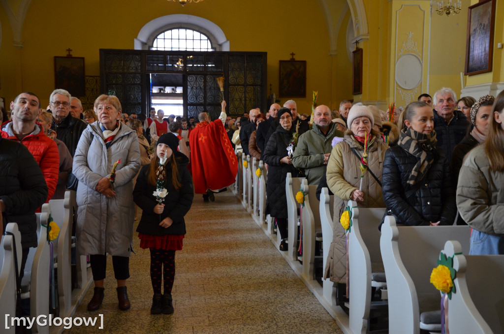 Msza święta w Niedzielę Palmową w kościele Bożego Ciała w Głogowie