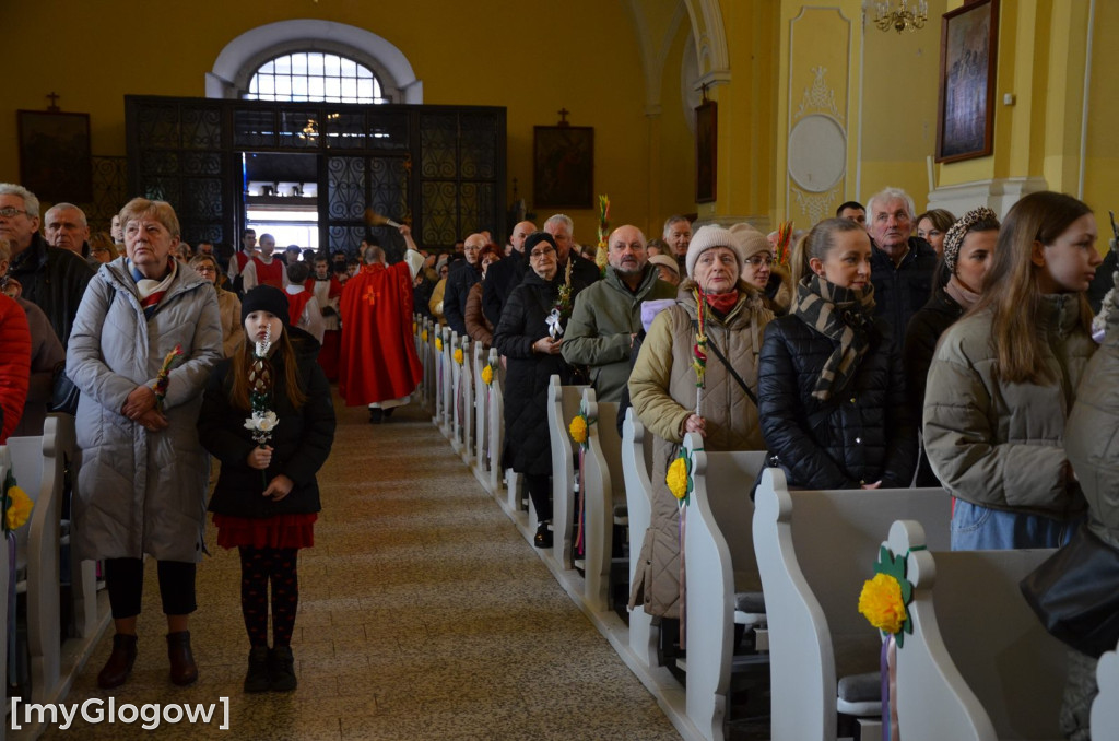 Msza święta w Niedzielę Palmową w kościele Bożego Ciała w Głogowie