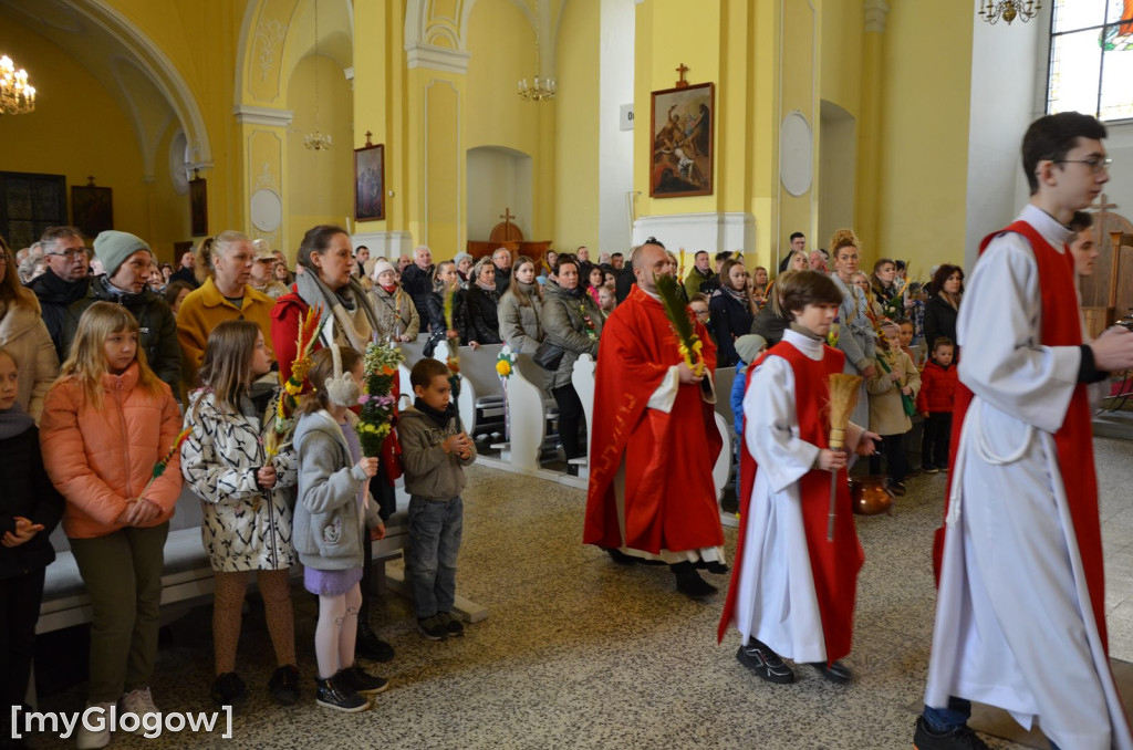 Msza święta w Niedzielę Palmową w kościele Bożego Ciała w Głogowie