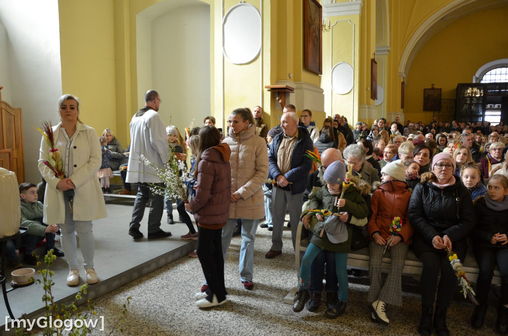 Msza święta w Niedzielę Palmową w kościele Bożego Ciała w Głogowie
