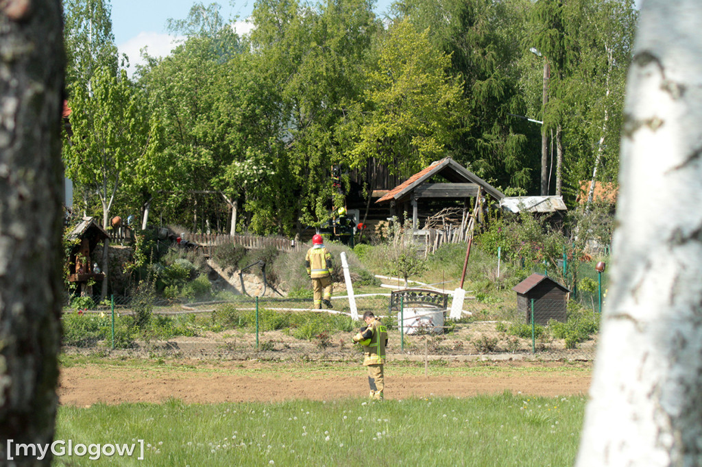 Pożar w chacie w skansenie pod Głogowem