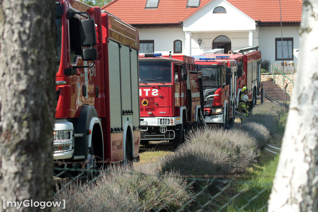 Pożar w chacie w skansenie pod Głogowem
