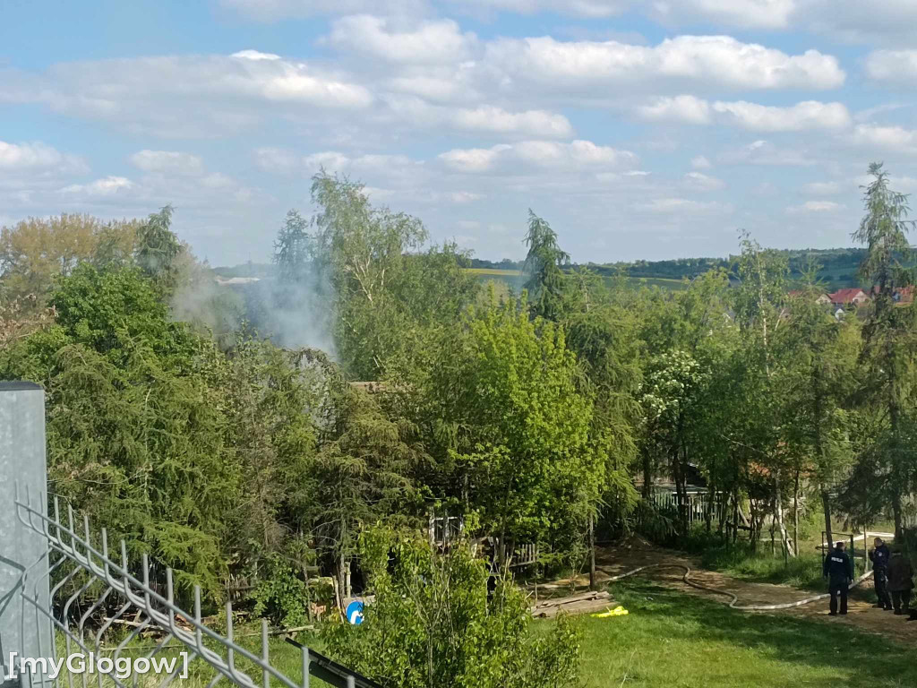Pożar w chacie w skansenie pod Głogowem