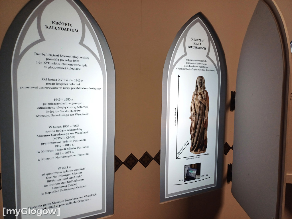 Dziś w Głogowie uczniowie ruszyli śladem gołębia