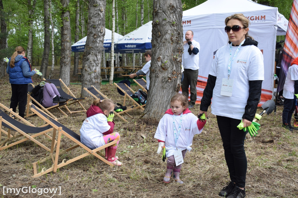 Wolontariusze sadzili las pod Hutą Miedzi Głogów