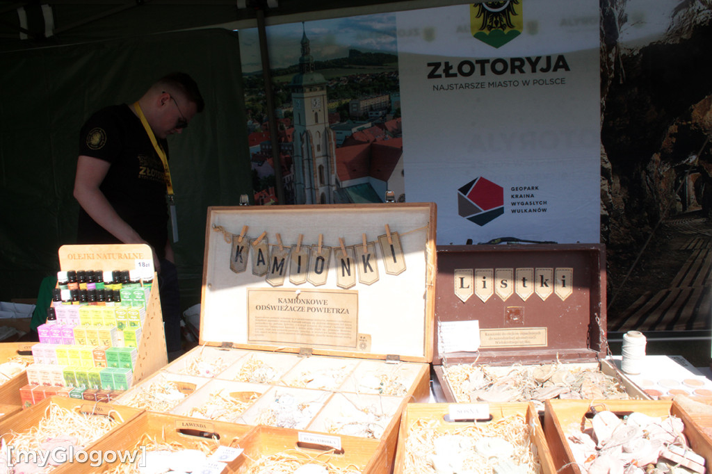 Największe atrakcje Dolnego Śląska na głogowskim bulwarze