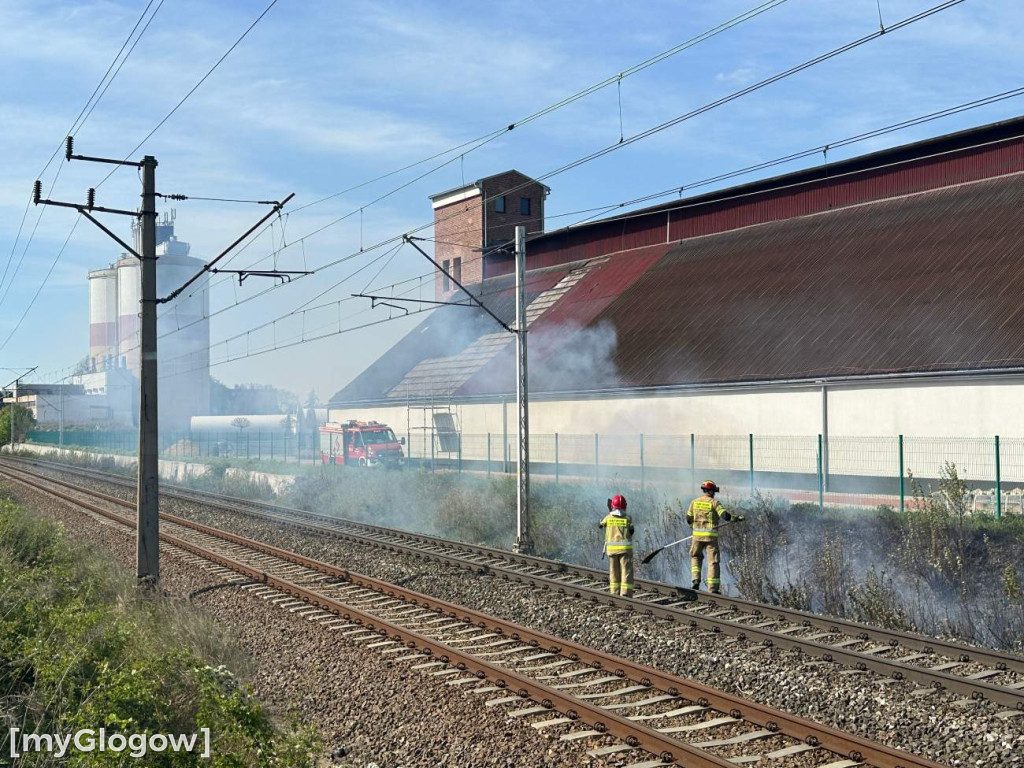 Pożar koło torów przy Rudnowskiej w Głogowie
