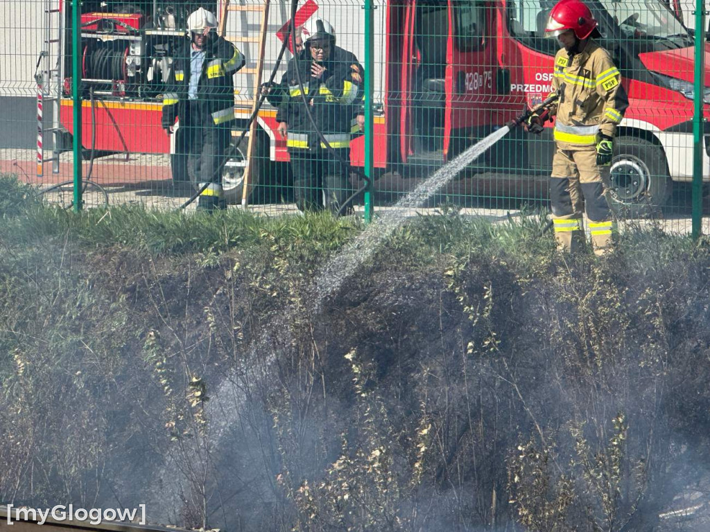Pożar koło torów przy Rudnowskiej w Głogowie
