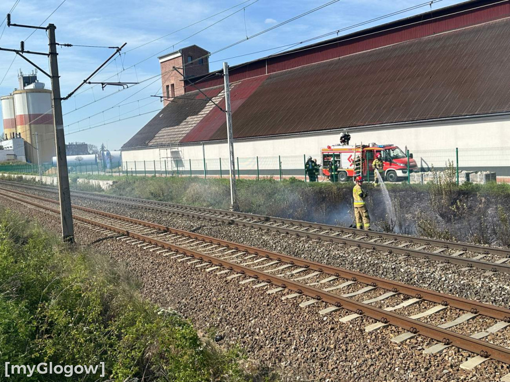 Pożar koło torów przy Rudnowskiej w Głogowie