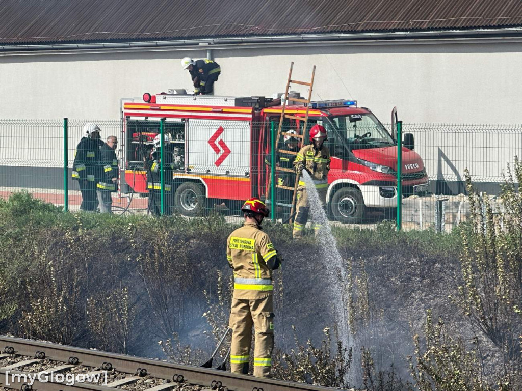 Pożar koło torów przy Rudnowskiej w Głogowie