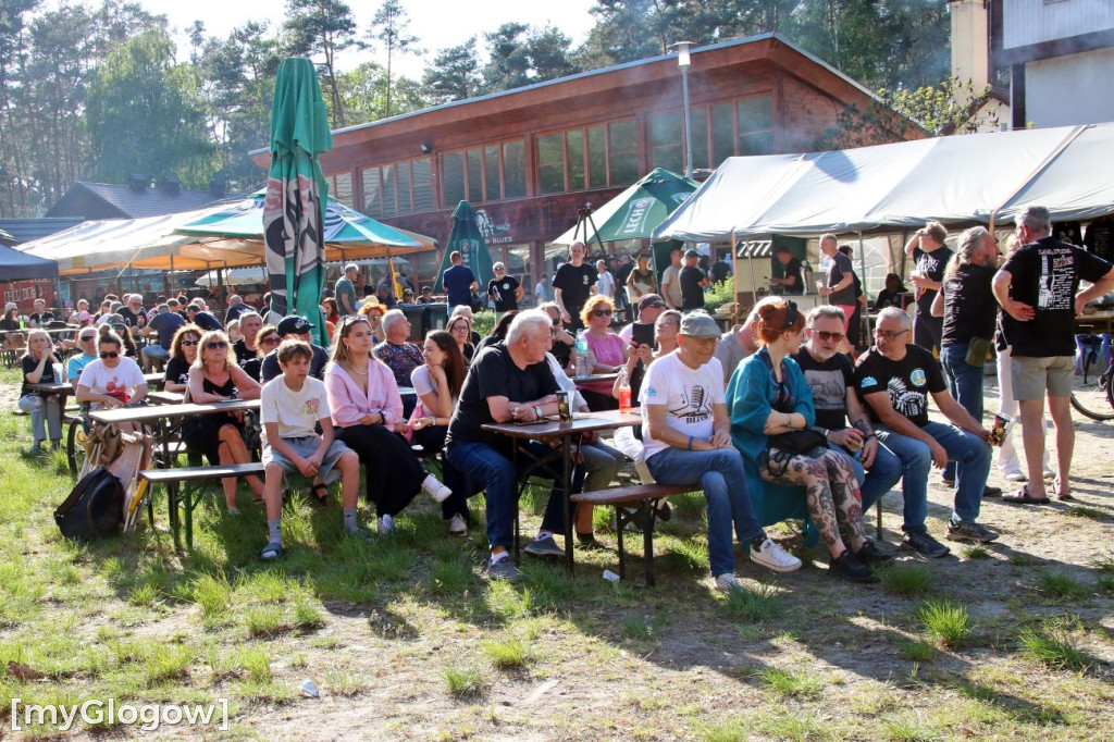 Festiwal