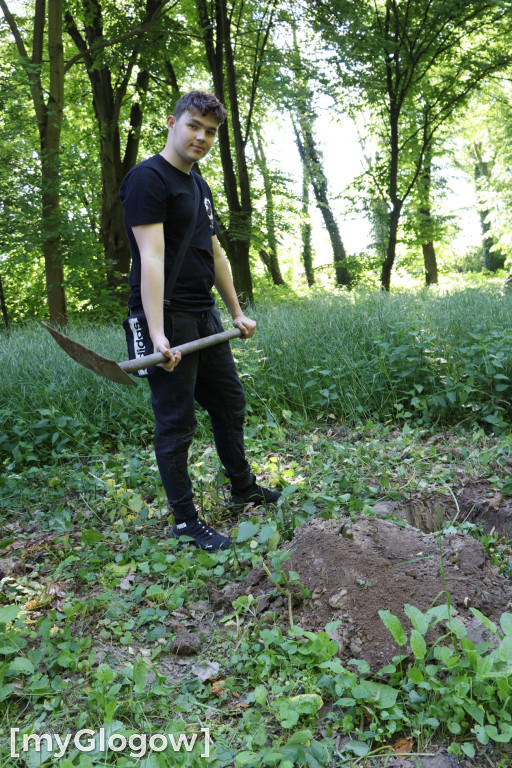 Absolwenci sadzą drzewa