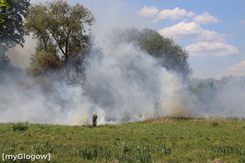 Pożar przy Topolowej