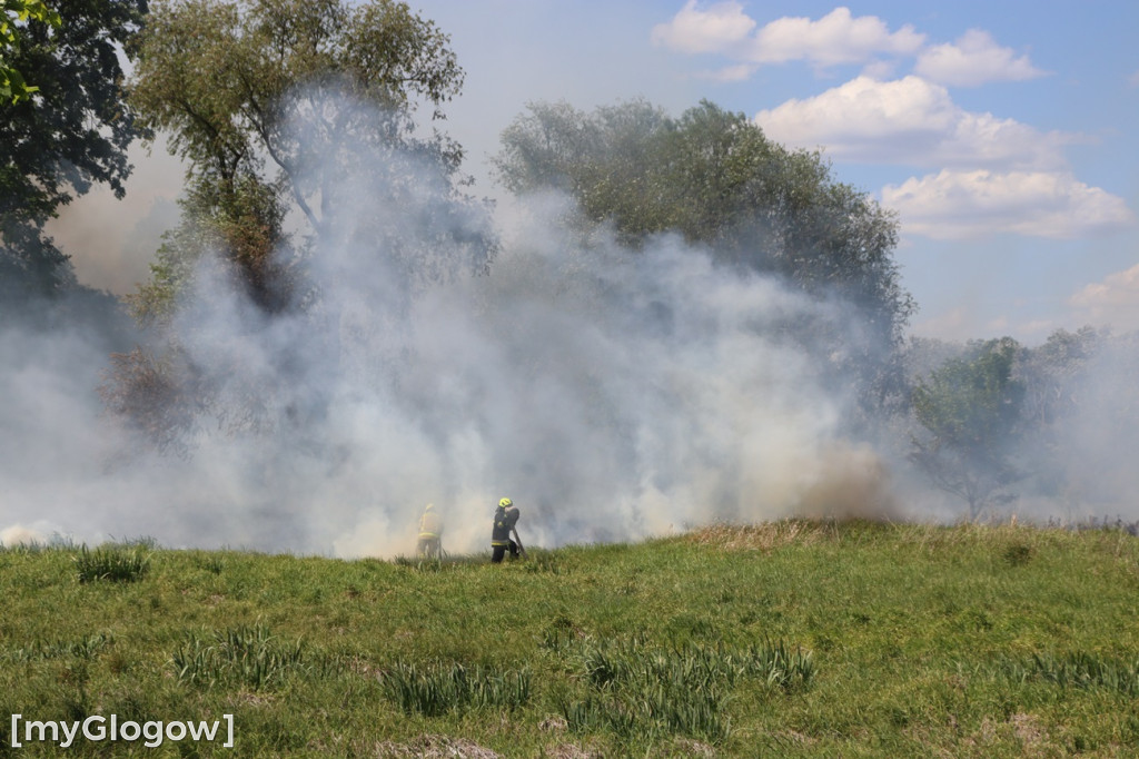 Pożar przy Topolowej