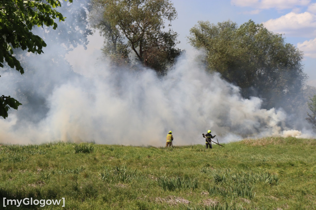 Pożar przy Topolowej