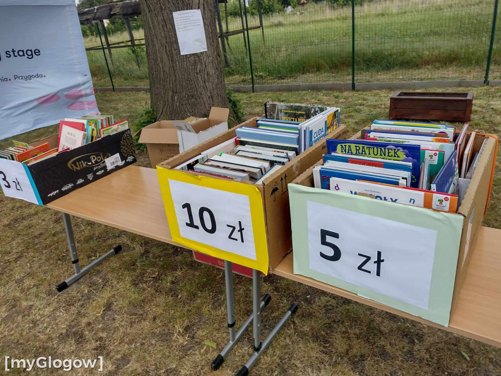 Udana akcja charytatywna szkoły w Serbach dla Zuzi i Stasia