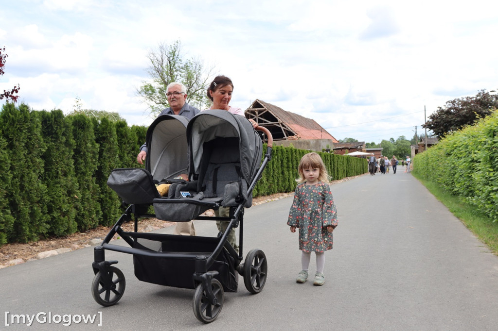 Festiwal Azali w Dalkowie